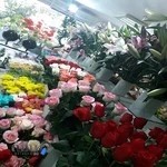 گلفروشی رز لاین