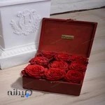 DigiGarden | دیجی گاردن