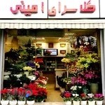 گل سرای امینی