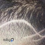 آرایشگاه مردانه ساقدوش