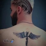 ارایشگاه ارشد