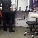 پیرایش ماد ، گریم تخصصی داماد