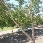 آرایشگاه حامد