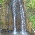 آرایشگاه یاران