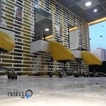 آرایشگاه مردانه پاریسا‌