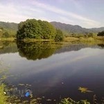 پیرایش مرتضی