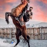 باشگاه سوارکاری رخش