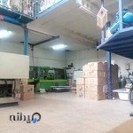 پت شاپ بزرگ ایران چکاوک