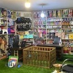 پت شاپ میگ میگ پت