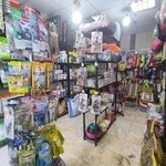 پت شاپ در صادقیه