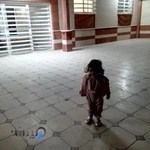 موسسه آموزش زبان انگلیسی نیاوران