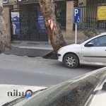 شعبه مرکزی بیمه تأمین اجتماعی