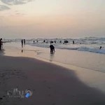 دکترحبیب الله مصطفی لو