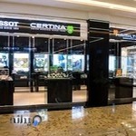 کیش بهین