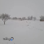 موسسه رادیولوژی و سونوگرافی امید