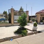 قالیشویی پاک تکتا