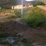 قالیشویی ولیعصر تبریز