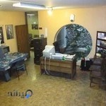 کانون سینماگران جوان