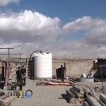 قالیشویی ایرانیان