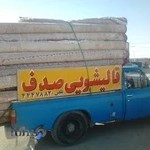 قالی‌شویی صدف