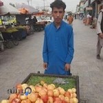 سازمان بین المللی مهاجرت نمایندگی جمهوری اسلامی ایران