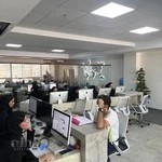 آژانس مسافرتی پرنده مهاجر