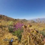 سینا پرواز یاسوج