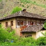 پویا فرضی (افروید دیفرانسیلی)