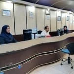 شرکت جهانگردی شاهین سیر