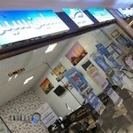 سلین سیر زنجان