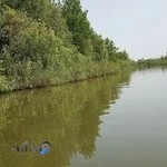 اسکله قایقرانان شماره ۳