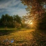 شرکت خدمات مسافرت هوایی و گردشگری دنیای فراز