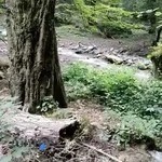 دهستان چلاو