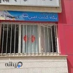 پگاه گشت امین