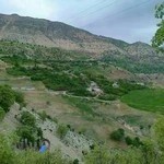 شرکت همسفر چابکسواران