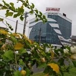 ماموگرافی - رادیولوژی دکتر فاطمه نظیفی