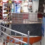 استخر دلفین سفید