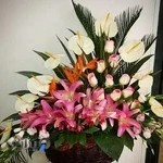 گل‌فروشی ترنم