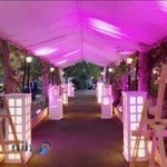 باغ تالار پرنسس