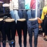 تولید وپخش پوشاک زنانه رویال