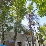 بيمارستان هدايت