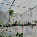 گلخانه پلنتس خوی