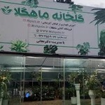 گلخانه ماهگلا