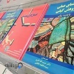 Clinical Psychology《طرح نو》