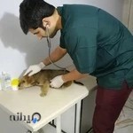 Persian Veterinary Clinic