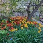 املاک طالقانی