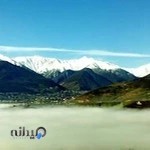 شاهین میارنعیمی(دادجو)