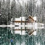 بنگاه املاک داودی