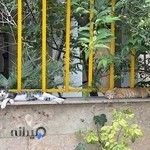 مرکز رزرواسیون دنیا