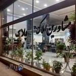 مشاورین املاک پلاک